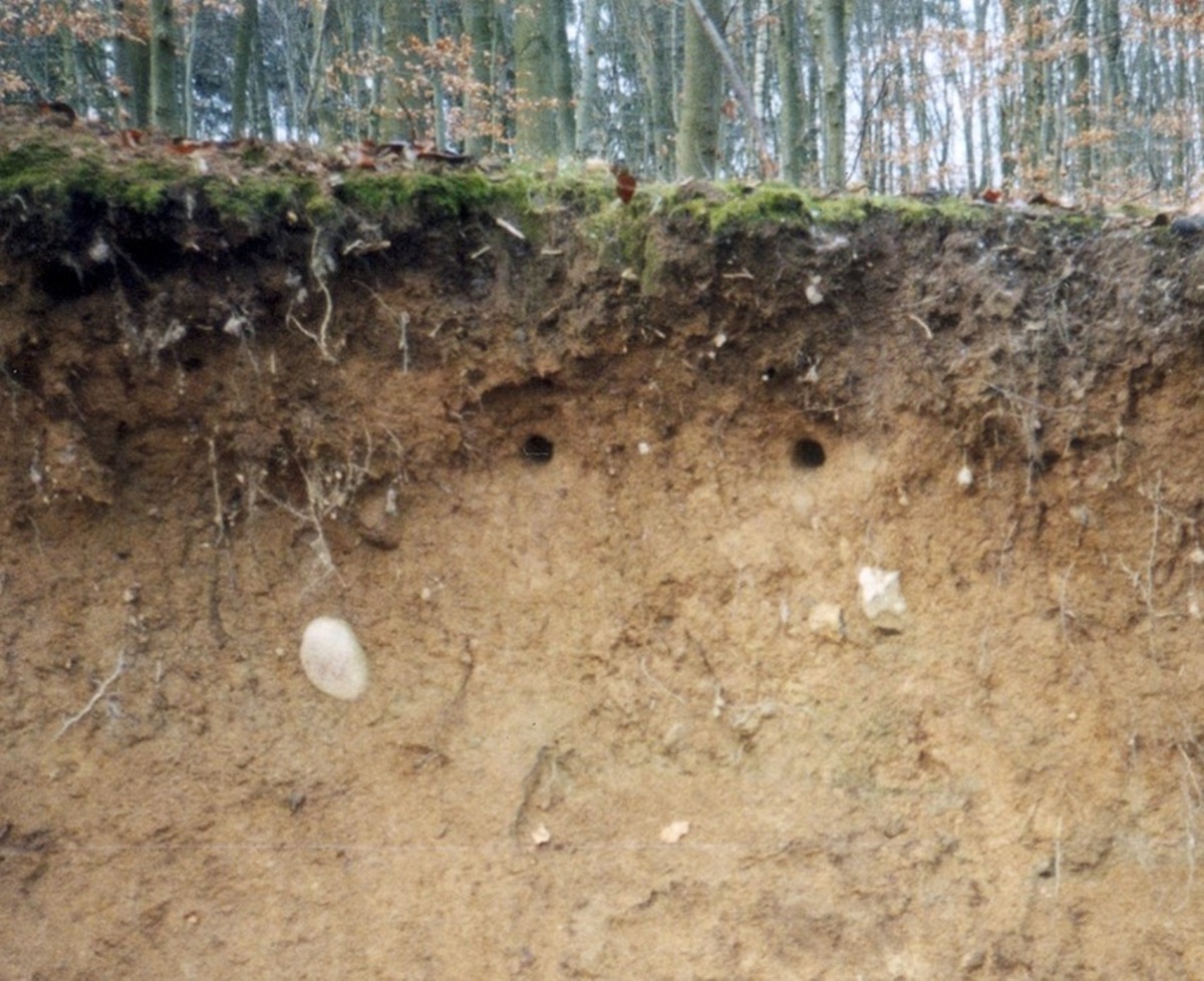 Naturschutzprodukt Eisvogel- und Uferschwalbenbrutröhre effektiver Artenschutz Produkt