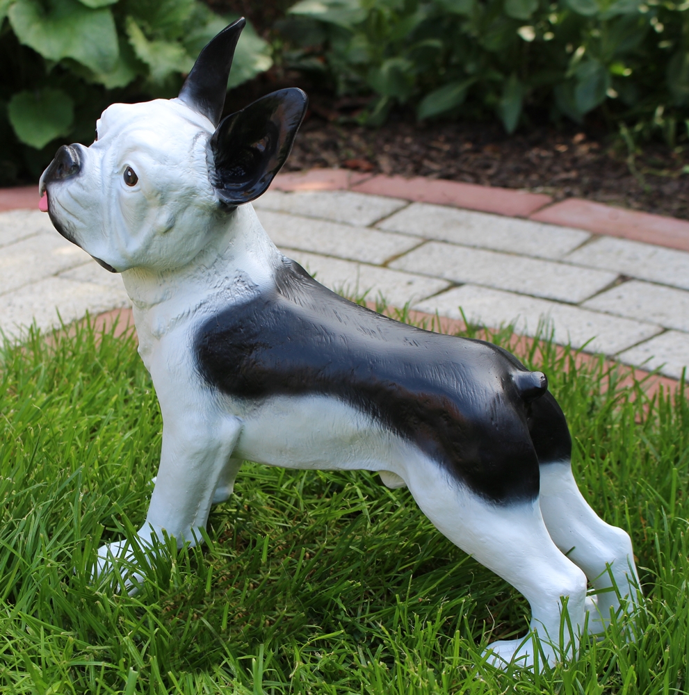 Dekofigur Französische Bulldogge Hund Deko Figur H 32 cm Kunstharz Tierfigur stehend Garten Figur