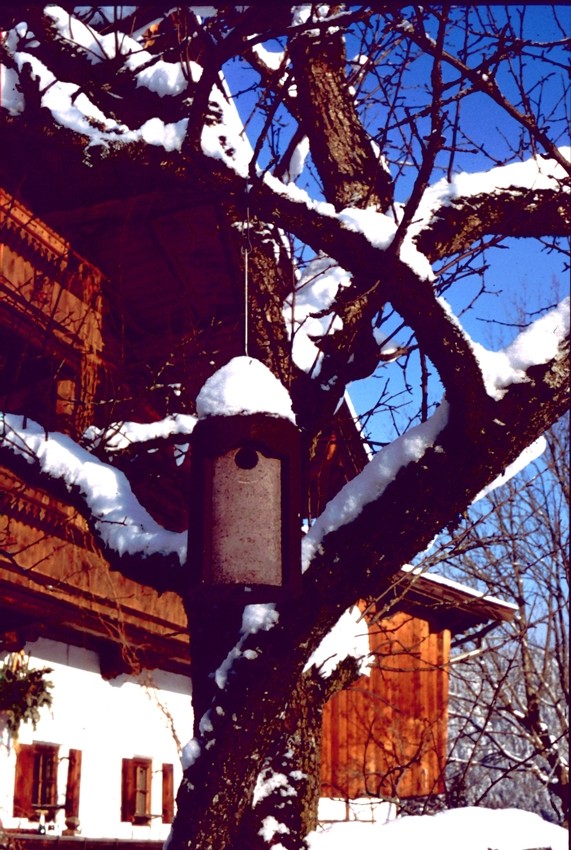 Naturschutzprodukt Nisthöhlen Satz 2 Stück Typ 2M Vogelhöhle freihängend FO Nisthilfe Flugloch 26 mm