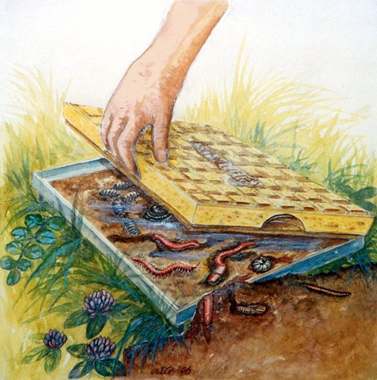 Naturschutzprodukt Ameisen-Beobachtungsstein aus Holz-Sandsteinbeton für Nützlinge patentiert