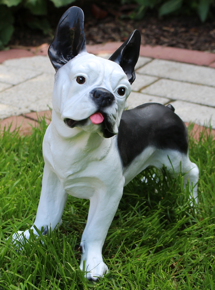 Dekofigur Französische Bulldogge Hund Deko Figur H 32 cm Kunstharz Tierfigur stehend Garten Figur