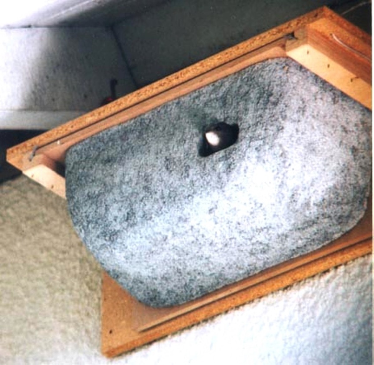 Naturschutzprodukt Mauerseglernest Typ 18 Modell Rögelein Nistkasten für Artenschutz