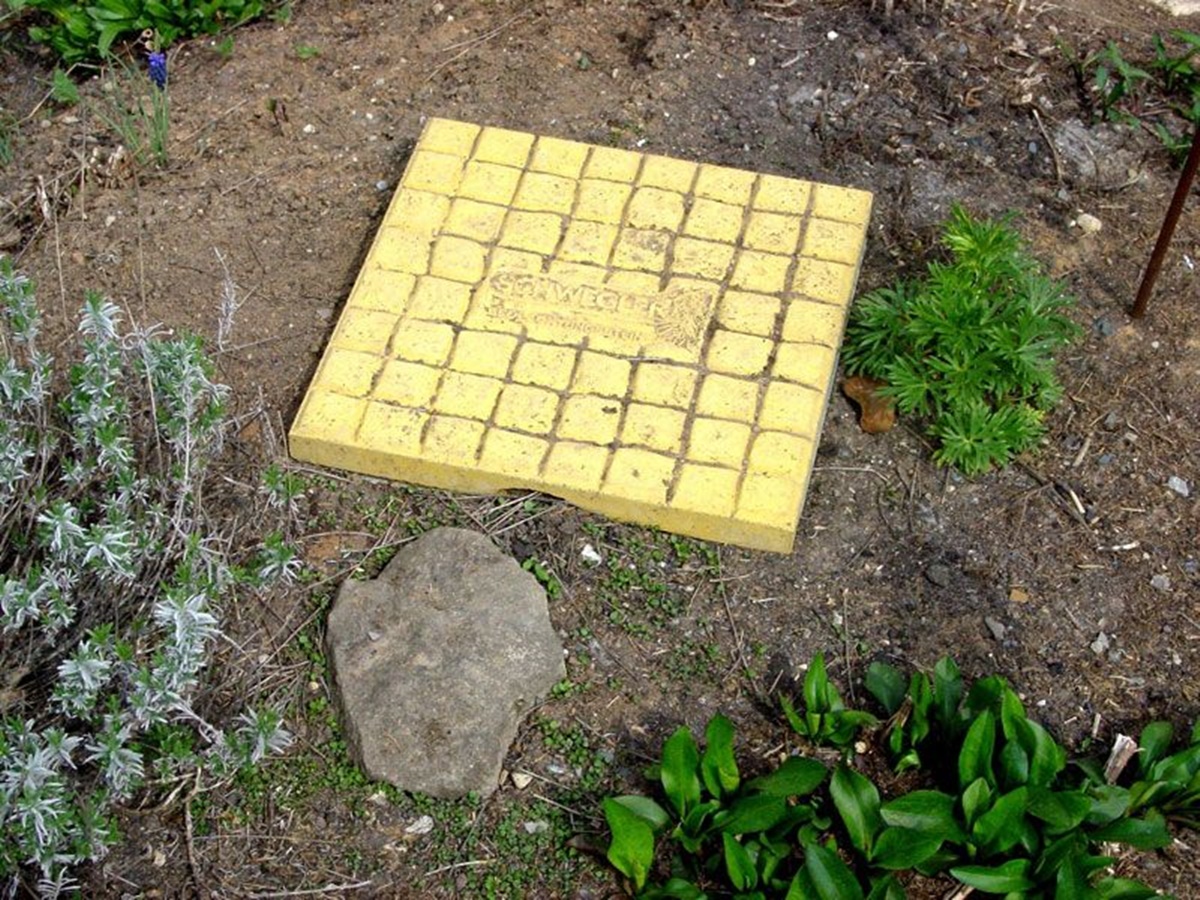 Naturschutzprodukt Ameisen-Beobachtungsstein aus Holz-Sandsteinbeton für Nützlinge patentiert