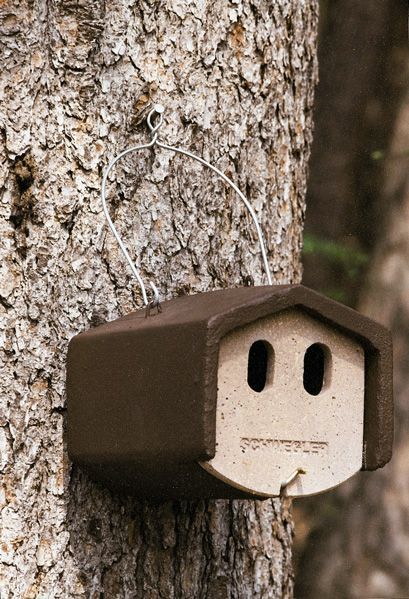 Naturschutzprodukt Satz 2 Stück Nischenbrüterhöhlen Typ 1N räubersicher Flugloch 30 x 50 mm