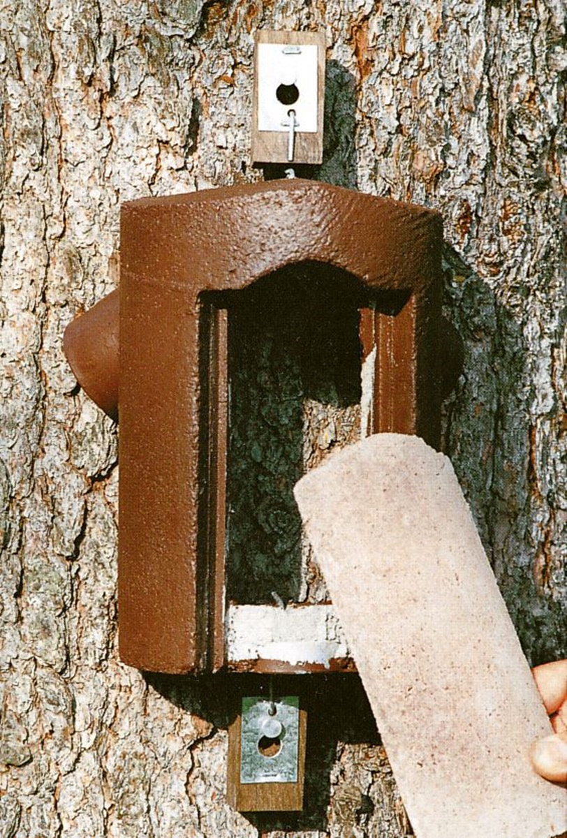 Naturschutzprodukt Baumläuferhöhle Typ 2B räubersicher Satz 2 Stück Artenschutz Produkt