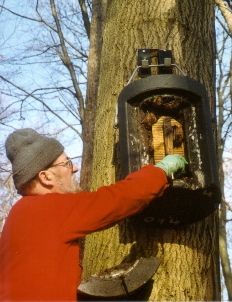 Naturschutzprodukt Fledermaus-Großraum- und Überwinterungshöhle Typ 1FW