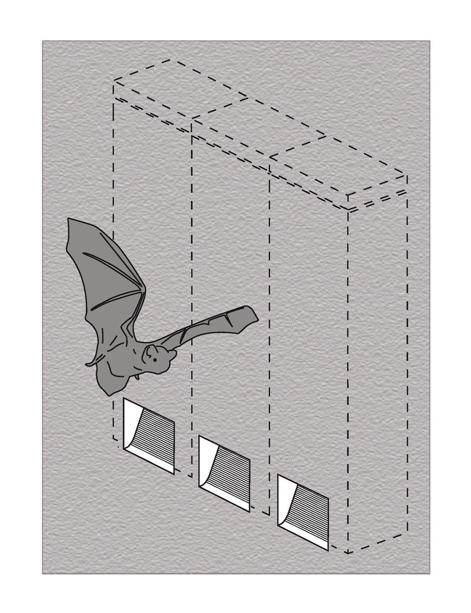 Naturschutzprodukt Fledermaus-Fassadenröhre Typ 1FR Artenschutz an Gebäuden