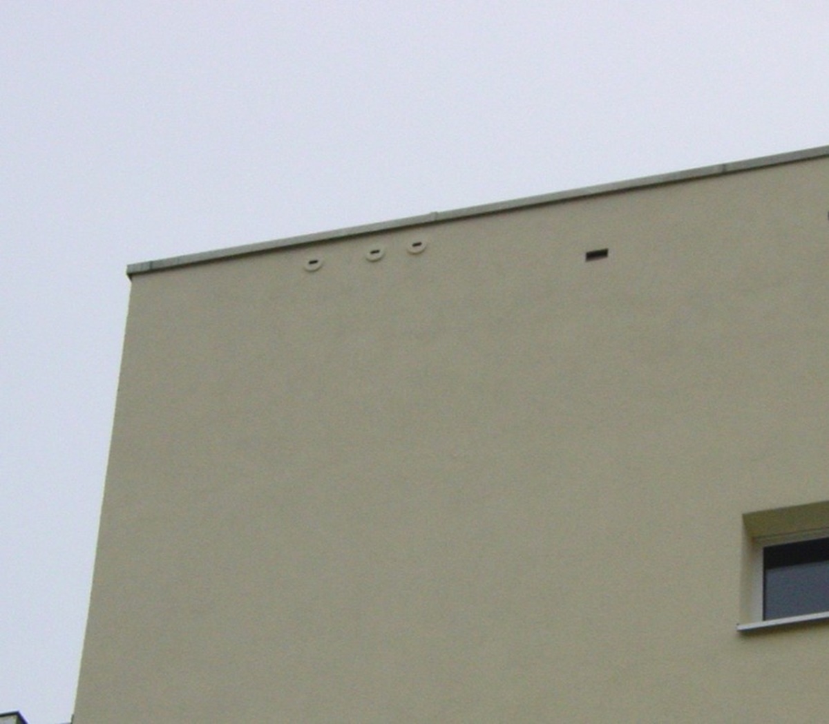 Naturschutzprodukt Mauerseglernistkasten Nr. 17A 3-fach Nisthilfe geeignet für Koloniebildung