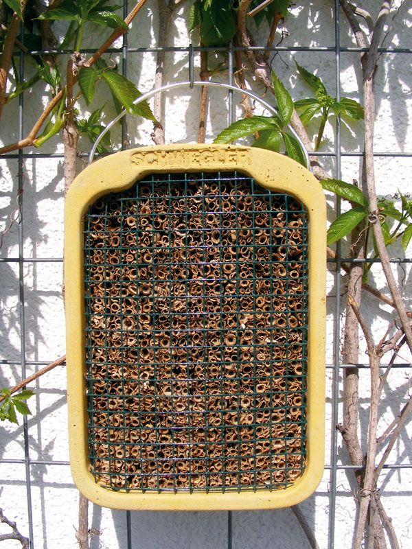 Insektennisthilfe Set 3 Stück - Insektennistblock Insektennistholz Insektennistwand Naturschutz