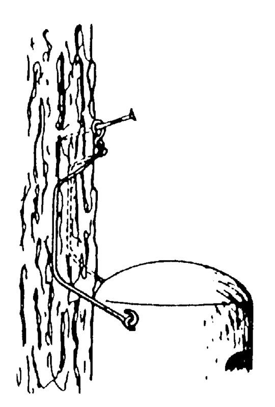 Naturschutzprodukt Fledermaushöhle 2FN speziell für Fledermäuse aus atmungsaktivem Holzbeton