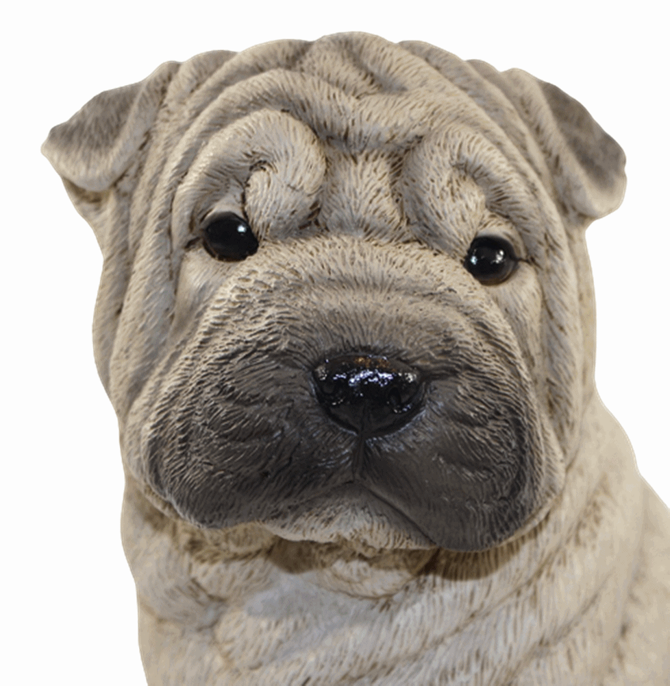 Hundefigur Chinesischer Faltenhund Shar Pei Welpe sitzend Kollektion Castagna aus Resin H 24 cm