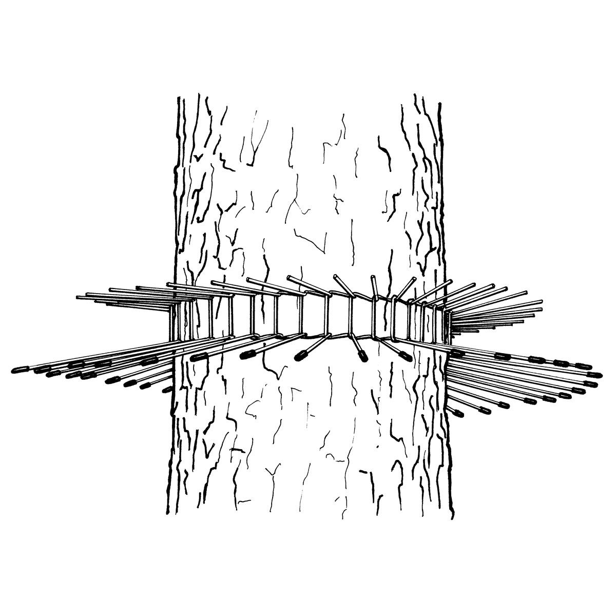 Katzenabwehrgürtel für Bäume Umfang 70 cm - effektiver Kletterschutz für Höhlen- und Freibrüter