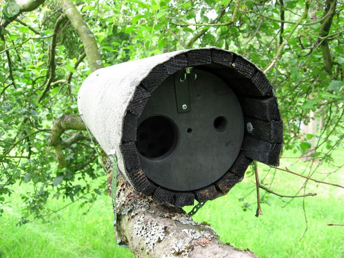 Naturschutzprodukt Steinkauzröhre Typ 20B mit Marderschutz und Belüftung